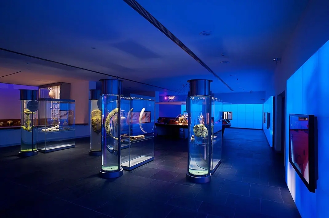 展覽展區(qū) ， 展覽 ， 展區(qū) ， 鑫時空